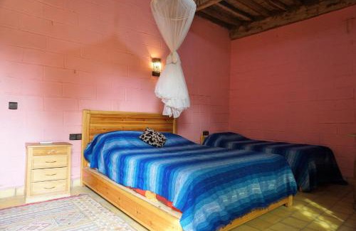 Tamgrout House | Paradise in the southern desert Morocco