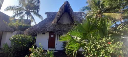 El Paredon Hotel | Paredon Surf House
