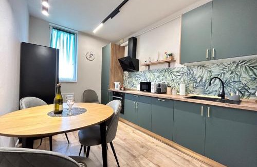 Timisoara Apartment | Paris Residence - Free Private Parking