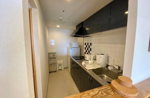 Nakajimakoen Apartment | Park view from the top floor of 2A Towerman Enjoy - AMS Tower Nakajima 2102 / Sapporo Hokkaidō