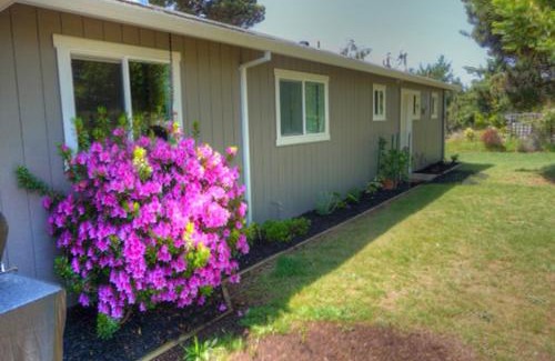 Cleone House | Park View