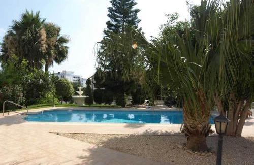 Agios Tychon Villa | Patatas Villa