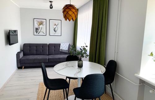 Anyksciai Apartment | Patogus Miegas IV