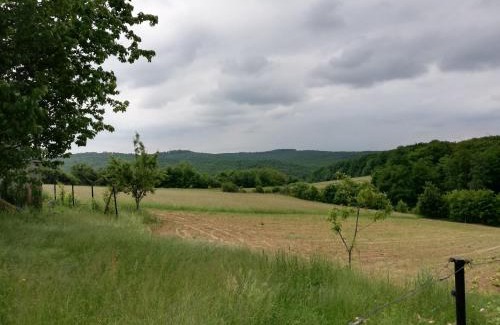 Koprivnica House | Paun