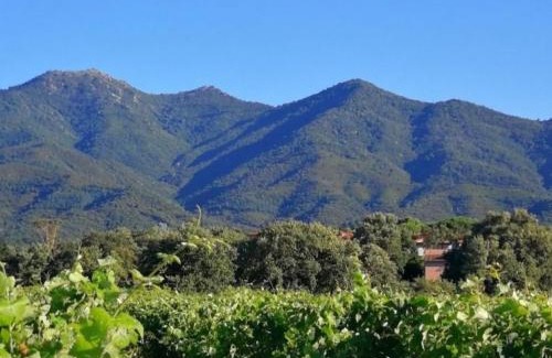 Plage d'Argeles House | Pavillon à 10 min de la mer, résidence sécurisée, terrasse privée, 2 chambres, proche commodités - FR-1-732-58