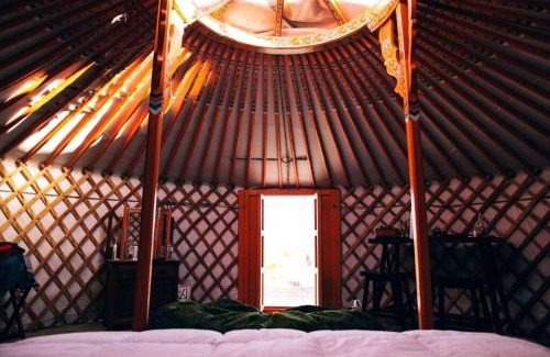 Twentynine Palms Other | Peaceful Desert Yurt Glamping with Stargazing Near Joshua Tree National Park, California