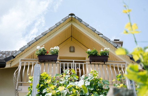 Semic Apartment | Peaceful paradise among vineyards with charming balcony view. River Kolpa nearby