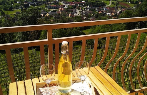 Semic Apartment | Peaceful paradise among vineyards with charming balcony view. River Kolpa nearby