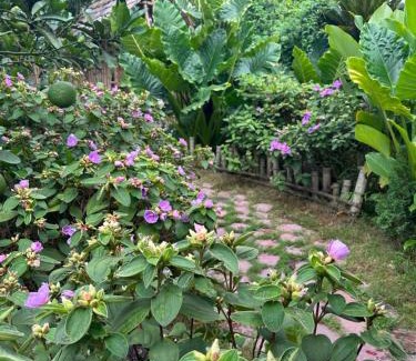 Ninh Binh House | Peaceful refuge homestay