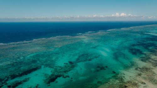 Michamvi Resort | Pearl Beach by Sansi