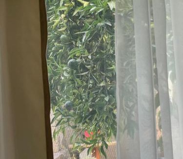 Mytilene Apartment | Peculiar Garden Apartment