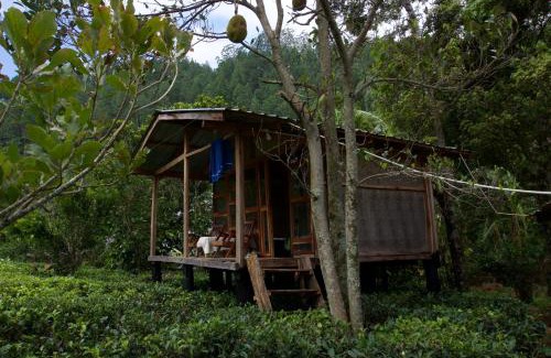 Hanguranketha House | Pekoe Path Lodge