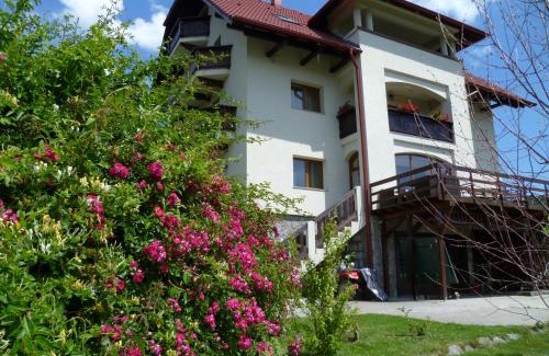 Corbeni House | Pension Irina