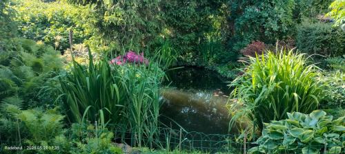 Radebeul Apartment | Pension Kaden