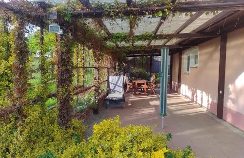Cvikov Apartment | Pension Pia