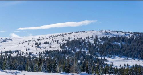 Varfurile House | Pensiune MOIL