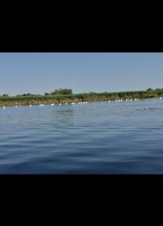 Gorgova House | Pensiunea Ákos Delta Dunarii