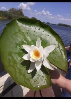 Gorgova House | Pensiunea Ákos Delta Dunarii