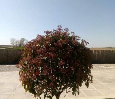 Mahmudia House | Pensiunea Alessia Mahmudia