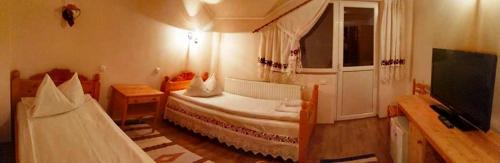 Sisesti House | Pensiunea Amethyst