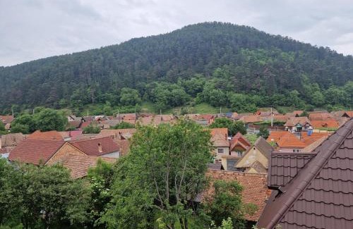 Rasinari House | pensiunea carul mare