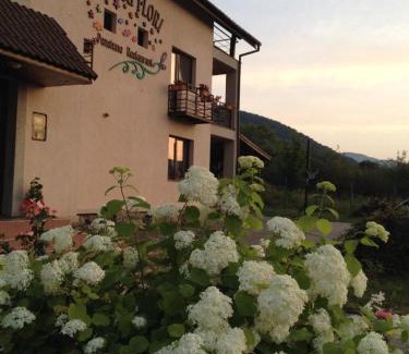 Cisnadie House | Pensiunea Casa cu Flori