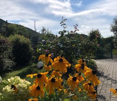 Cisnadie House | Pensiunea Casa cu Flori