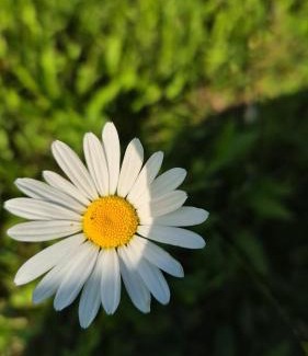 Cicanesti House | Pensiunea Eden