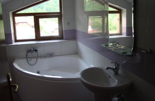 Dragoslavele Hotel | Pensiunea Floare de Colt