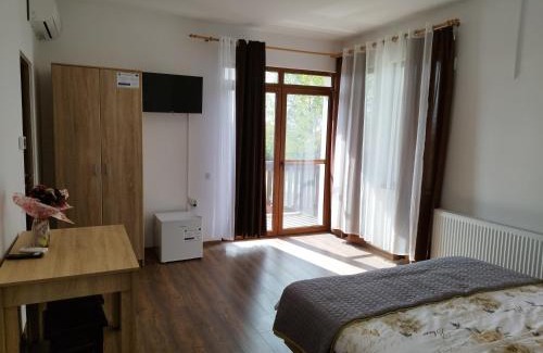 Viile Satu Mare House | Pensiunea Florilor Satu Mare