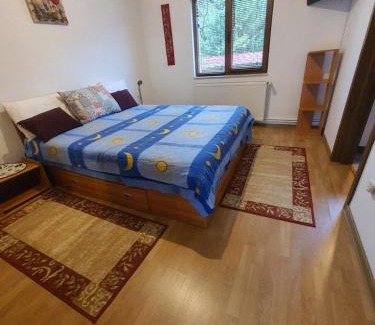 Rucar House | Pensiunea Geta