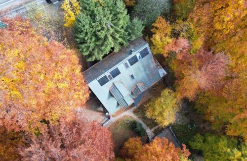 Arefu House | Pensiunea Lac