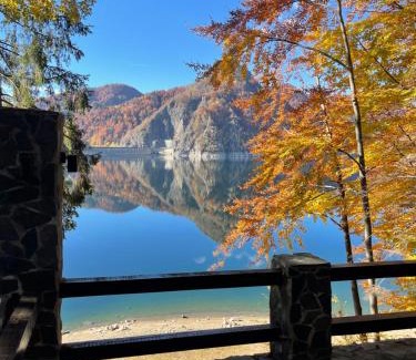 Arefu House | Pensiunea Lac