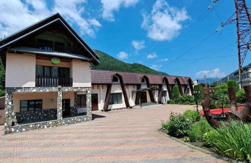 Dragoslavele House | Pensiunea Lyana