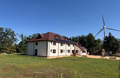 Grebanu House | Pensiunea Minerva