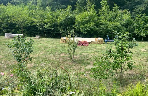 Talmaciu House | Pensiunea Osencuta