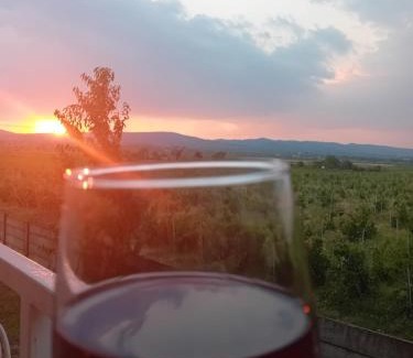 Cotesti House | Pensiunea Paradis Vrâncean