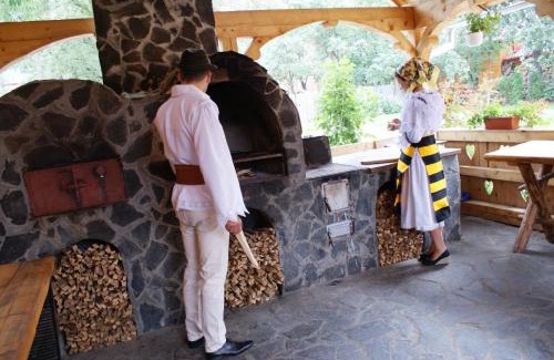 Borsa House | Pensiunea Poiana