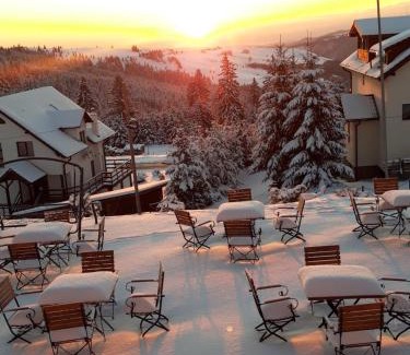 Paltinis House | Pensiunea Romantic Belvedere Paltinis