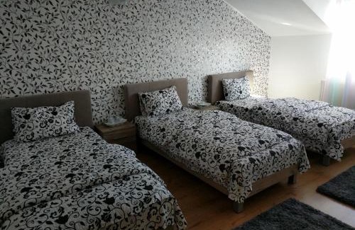 Timisoara House | Pensiunea Vladut Timisoara