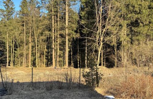 Zieleniec House | Pensjonat Leśniczówka Zieleniec