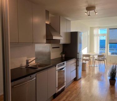 Trondheim City Centre Apartment | Penthouse in Trondheim City Centre