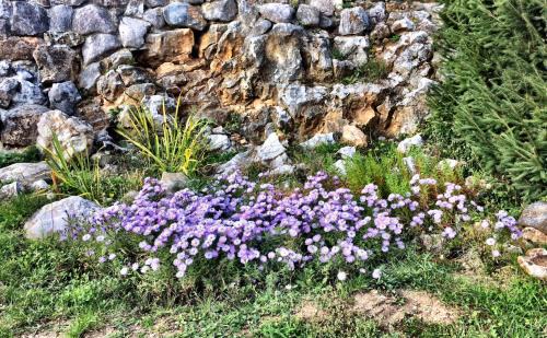 Kosice House | Penzión Skalná ruža - Kövirózsa panzió