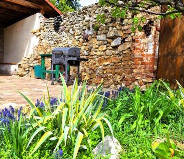 Smolenice House | Penzión Villa Agnes
