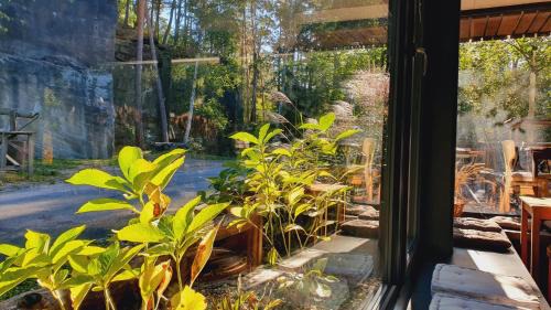 Slatinany House | Penzion Kůlna