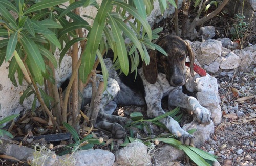 Porto Germeno House | Perfect place to relax & swim