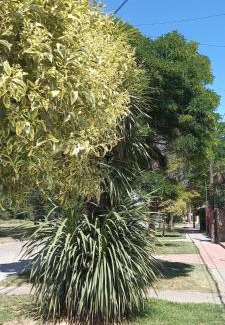 Chascomus Apartment | Perla Gris Chascomus Departamento a 3 cuadras de la laguna y 4 del centro