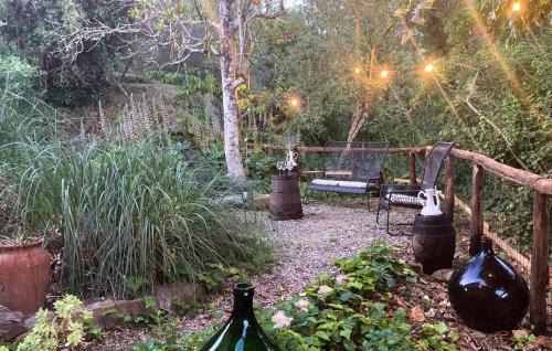 Castelfranco di Sopra House | Pet Friendly Home In Castelfranco Piandiscó