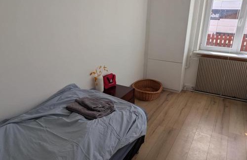Holeby Apartment | Pet-Friendly Apartment 2 60m2 - close to Femern & Puttgarden & Lalandia & Knuthenborg
