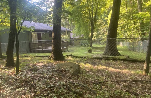 McHenry Cabin | Pet-Friendly Cabin in the Woods